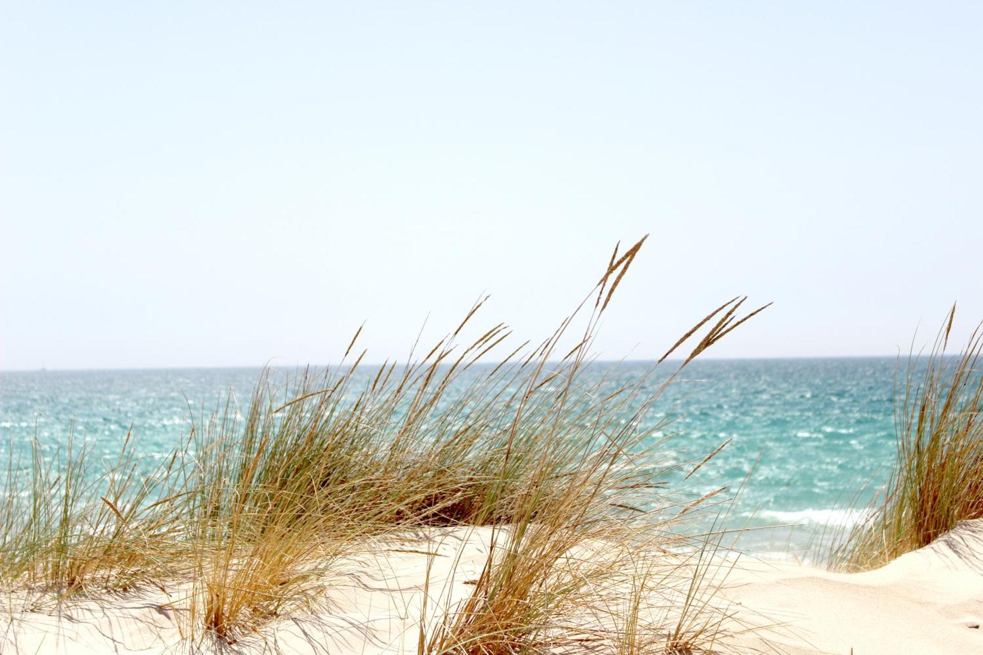 Ocean Sands Beach Inn (Adults Only) Сент Августин Екстериор снимка